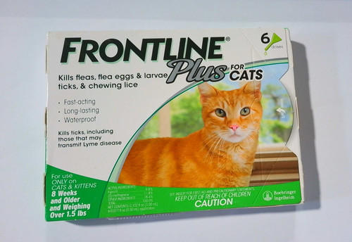 Frontline plus for cats over - cats,